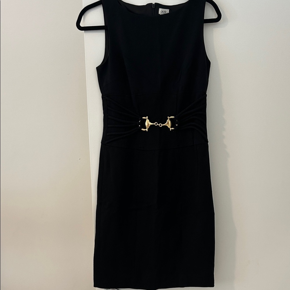 Cache Black Dress with Gold Detail